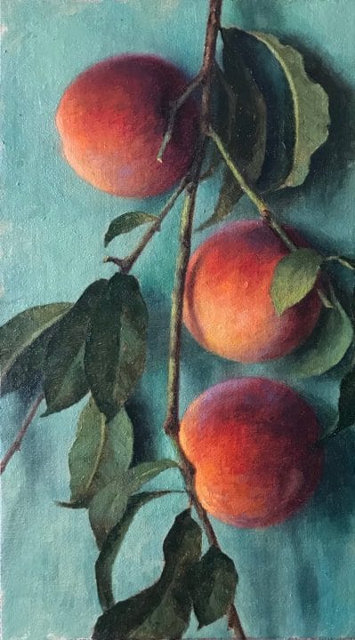 Branch of Peaches on a Blue Wall