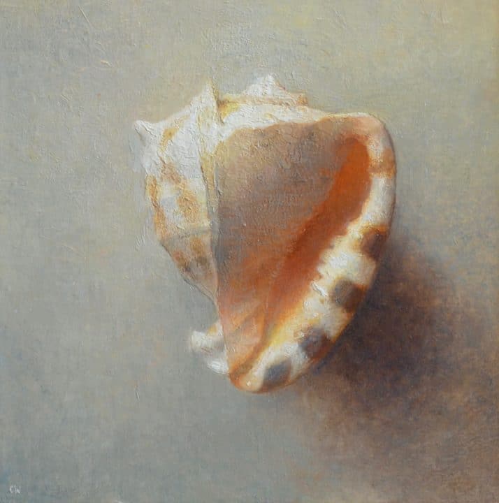 Shell on Grey Green