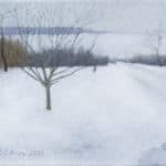 Winter Study, 35 x 30 cm
