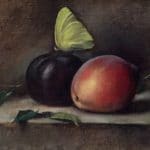 hooper-jill-cloudless-sulphur-butterfly-and-fruit