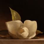 koch-jonathan-magnolia