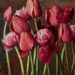 Tulips and Ranunculus