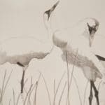 Whooping Cranes in Reeds II by Judith Vivell
