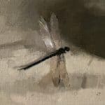 Dragonfly2_20