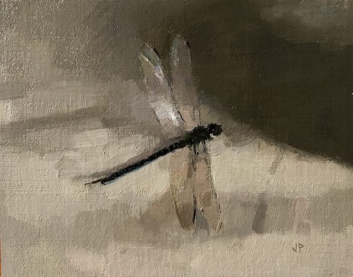 Dragonfly 2-20