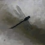 Small Dragonfly