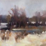 Winter Pond Study