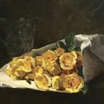 Yellow Roses