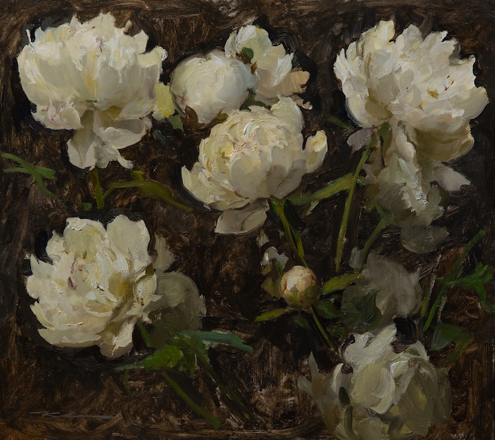 Peonies Study from Life
