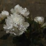 White Peonies