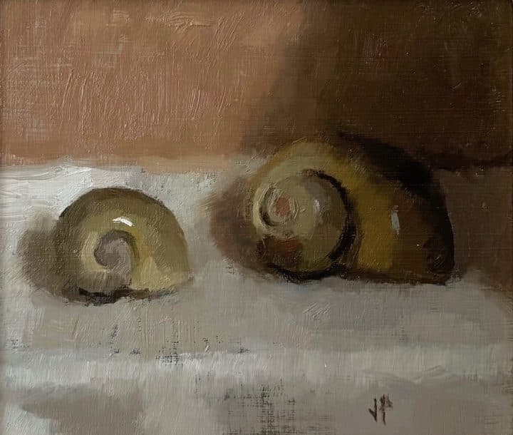 Snail Shells, 2024